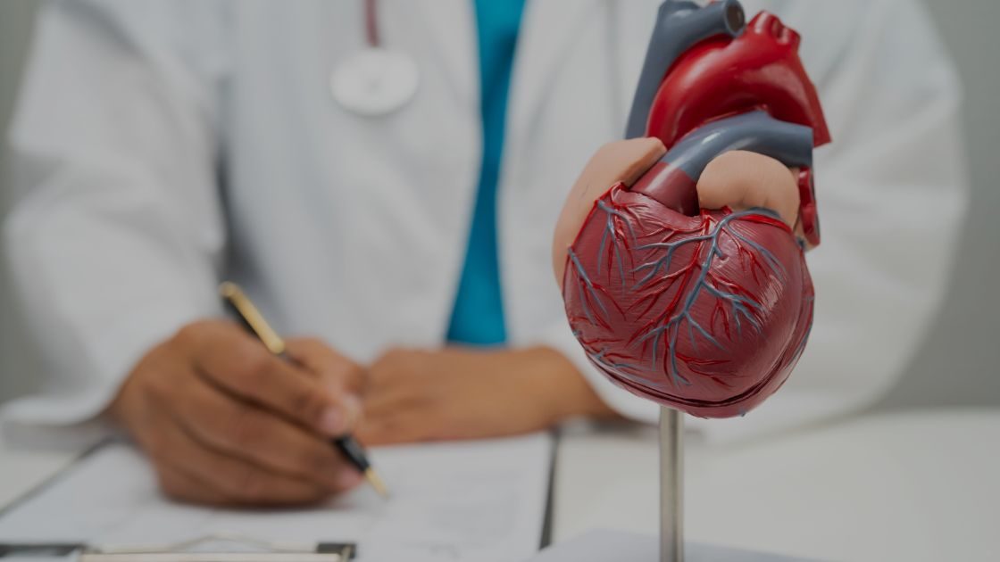 A Importância da Saúde Cardiovascular